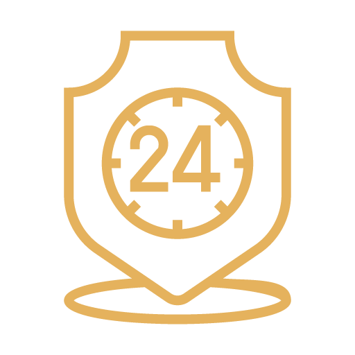 24x7 Security