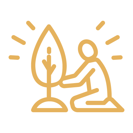 Meditation Lawn