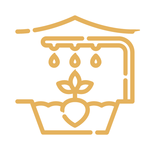 Rainwater Harvesting