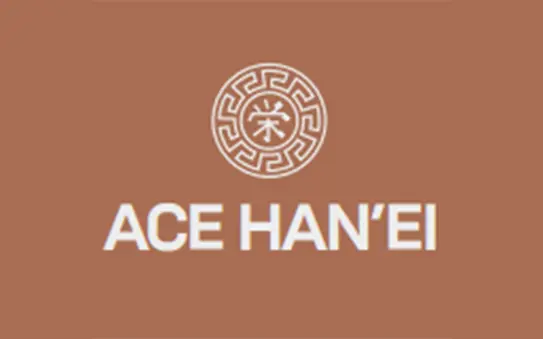 Ace Hanei