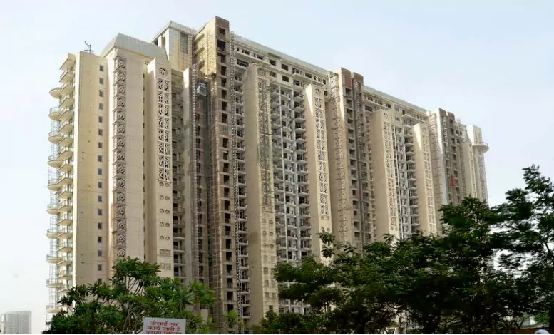 DLF Magnolias